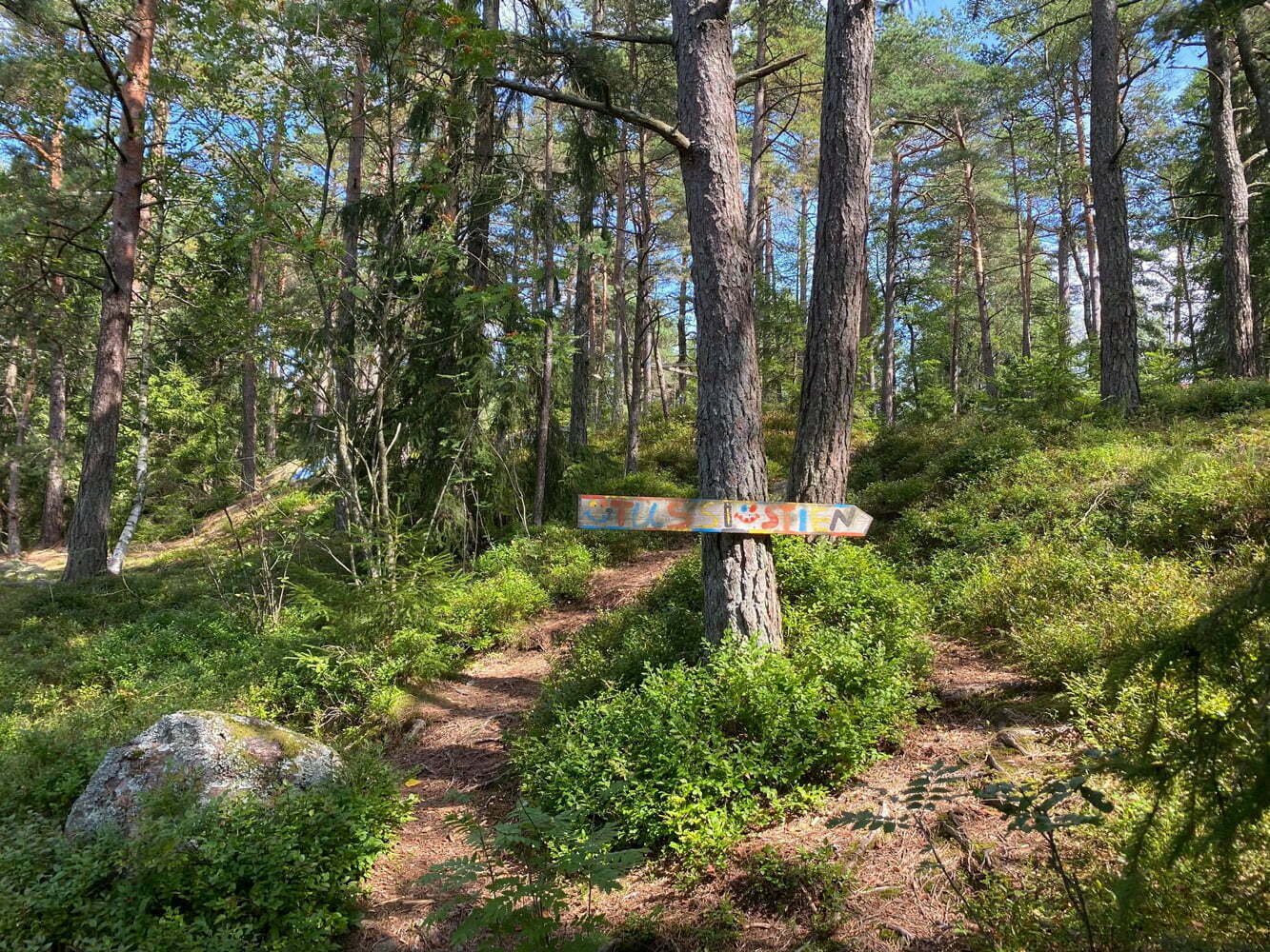 Bilde av et treskilt ved en sti i skogsområde